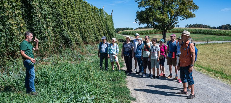 Tettnang. Hopfenwanderung. Auf dem Weg Richtung Hopfengut No20