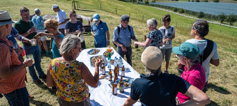 Tettnang. Hopfenwanderung. Vesper am Aussichtspunkt