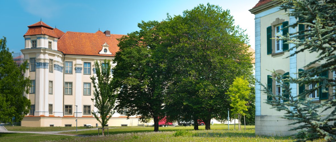 RB8_2491.jpg