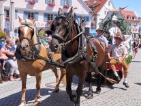 2016 Montfortfest _0258.jpg