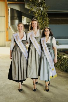 Tettnanger Hopfenhoheiten 2025 - 2027