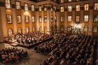 Traditionelle Schlosshofserenade