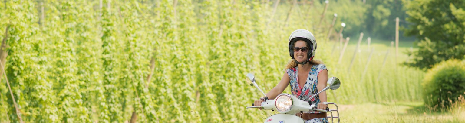 Logo final_Berttl.jpg