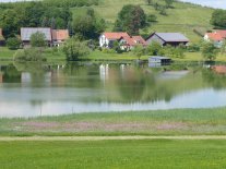 Landschats-und Freifraumplanung.JPG