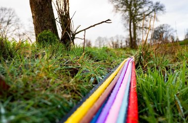 viele Glasfaserkabel in einer Wiese liegend