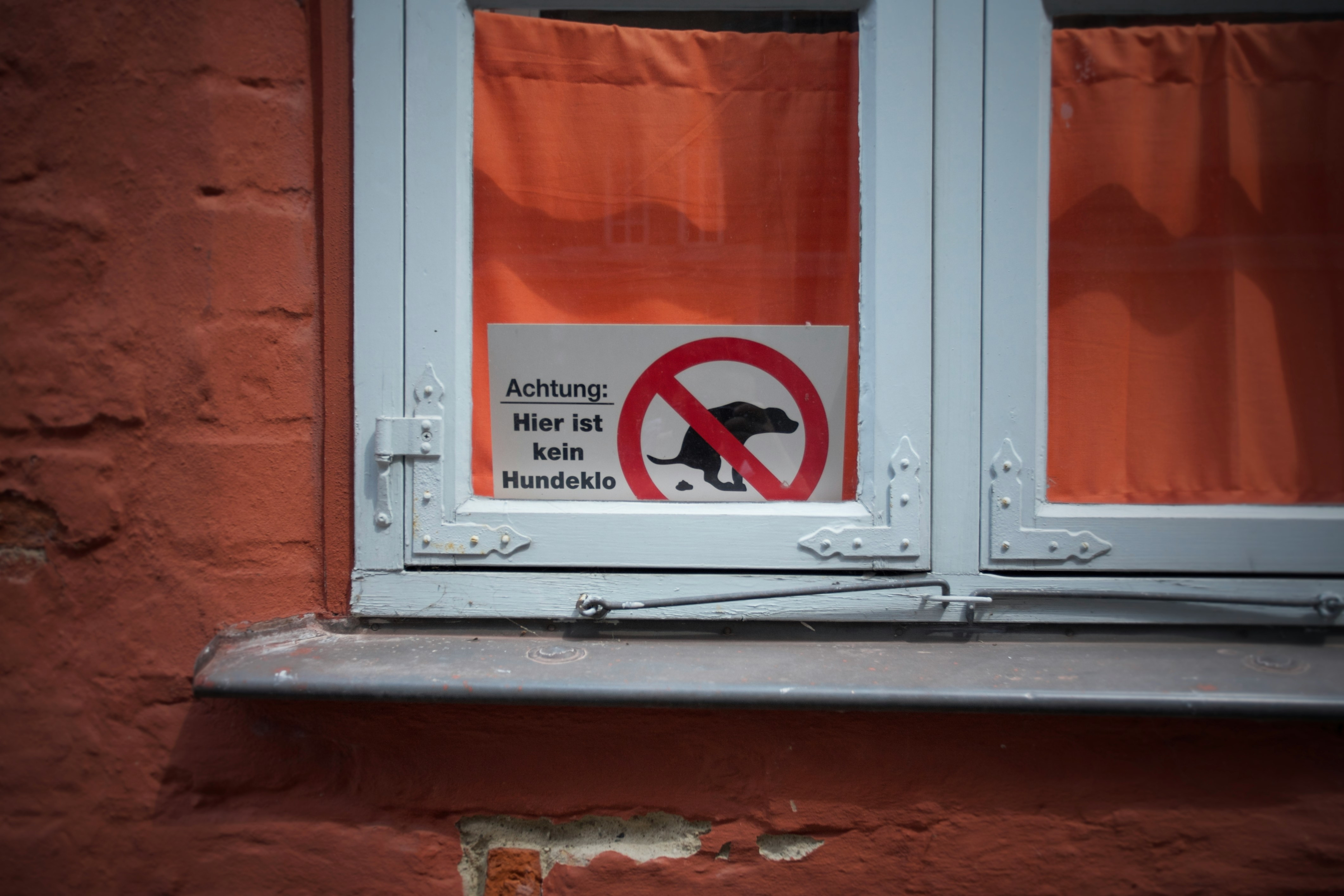Fenster mit Hundeklo-Verbotsschild