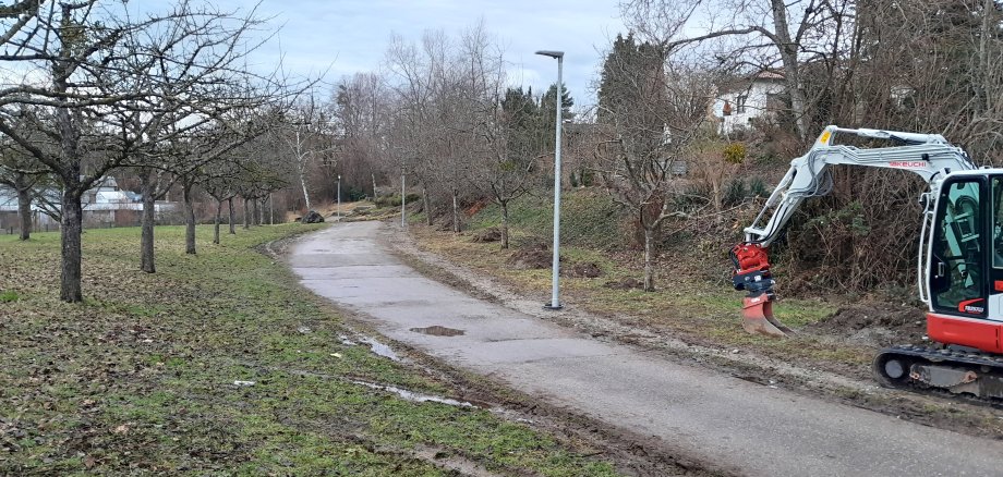 Entlang des Weges zur Carl-Gührer-Halle stehen nun fünf Mastlampen.