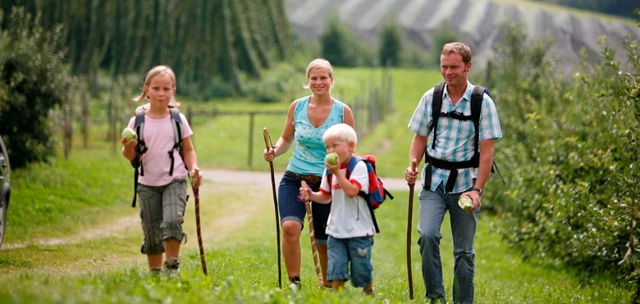 Vater, Mutter und 2 Kinder wandern durch Landschaft mit Hopfen und Obstbäumen