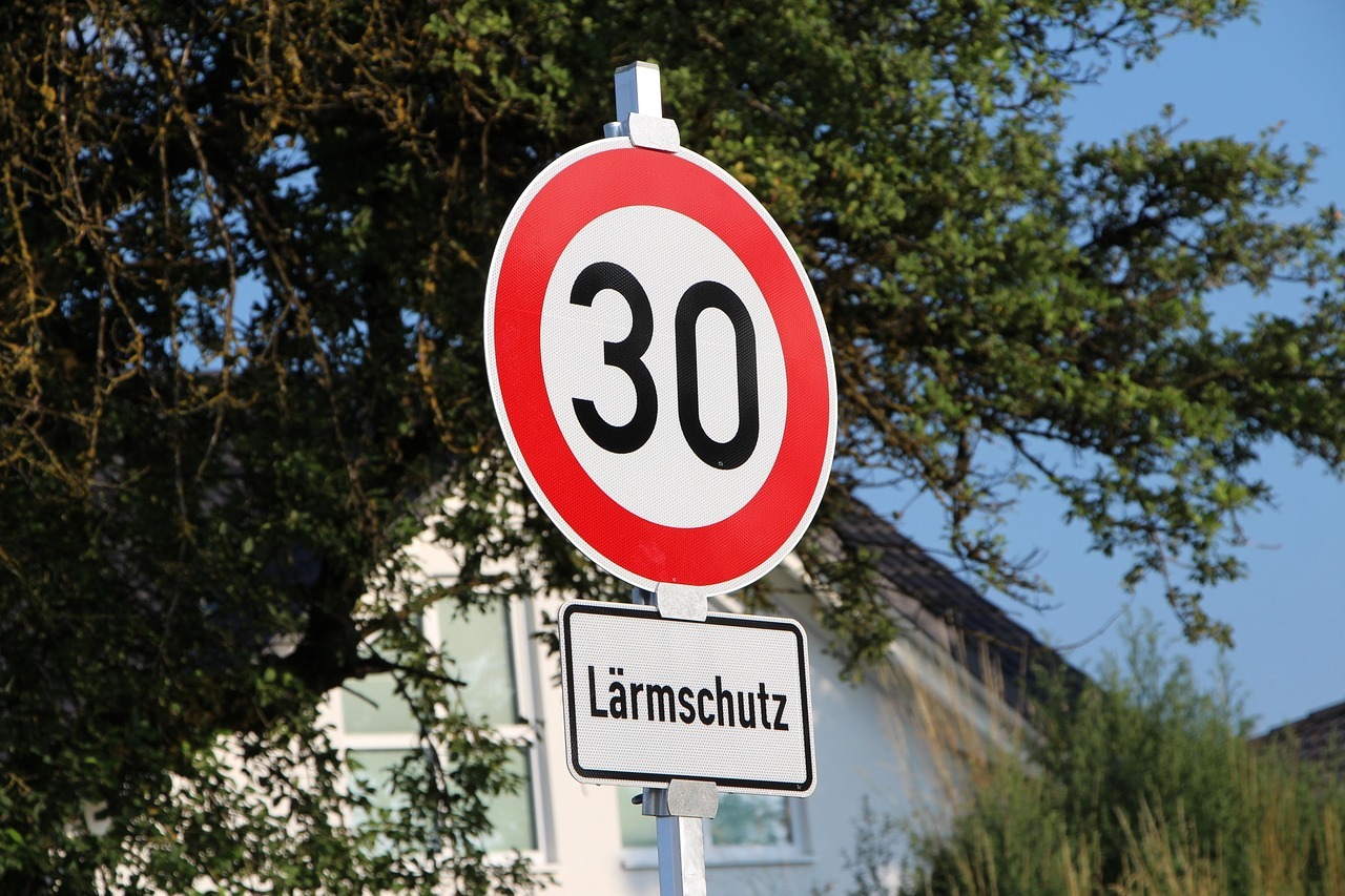 Verkehrsschild Tempo 30 vor einem Baum