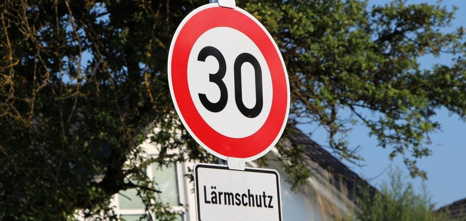 Verkehrsschild Tempo 30 vor einem Baum