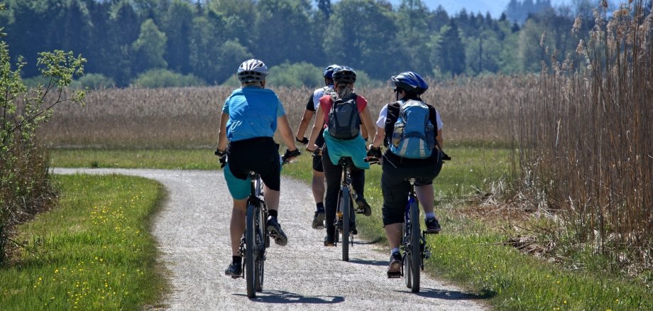 Radfahrer in der Natur