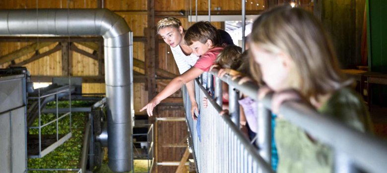 Familienführung im Hopfengut No20