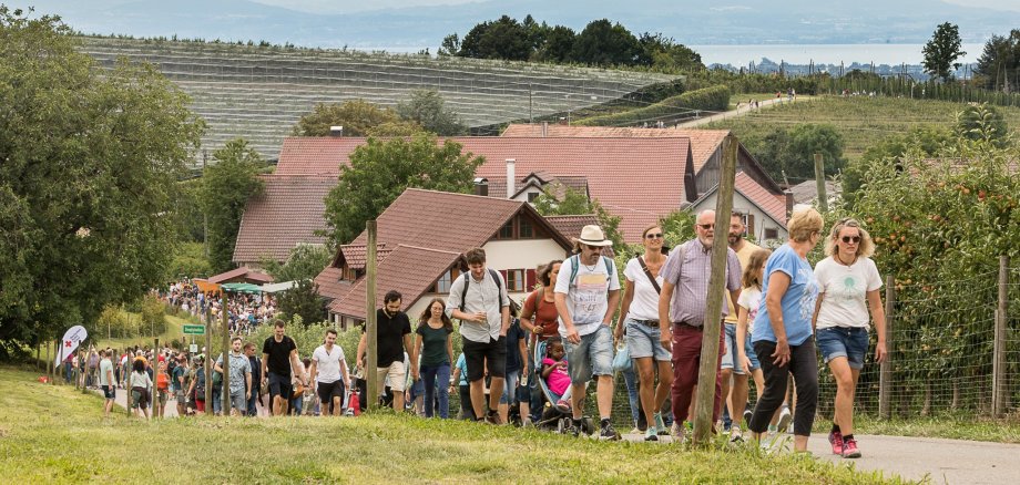 Hopfenwandertag in Tettnang