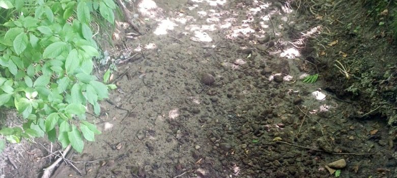 Das trockene Bachbett des Mühlkanals der Brunnisach am 25. Juni 2026