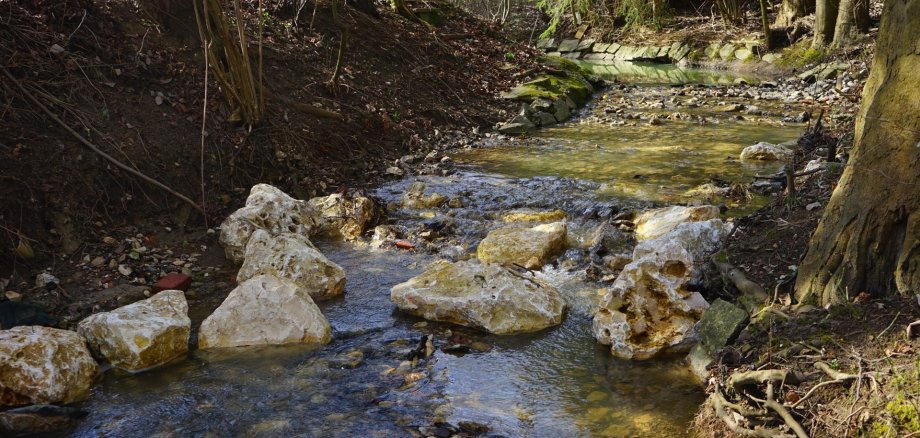 Bach mit niedrigem Wasserstand