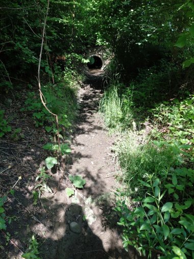 Trockenes Bachbett des Mühlbachs in Schnetzenhausen.