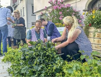 Jahresbericht 2024 der Stadt Tettnang mit Rückblicken auf das vergangene Jahr