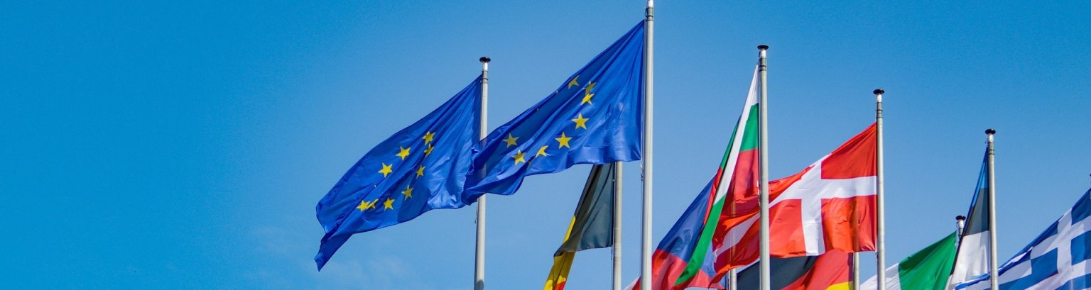 Die EU-Flagge und Flaggen von EU-Ländern im Wind